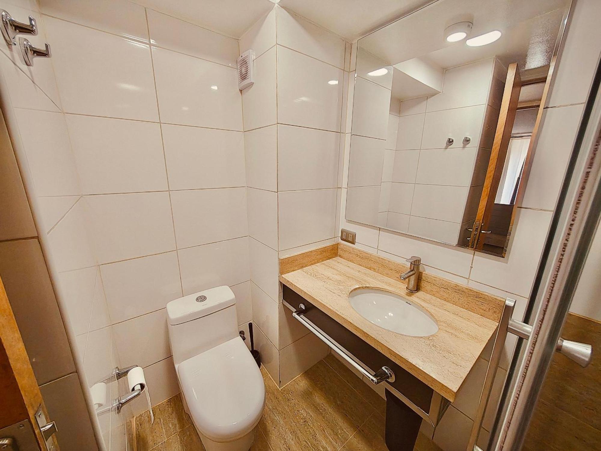 Luxury Providencia 305