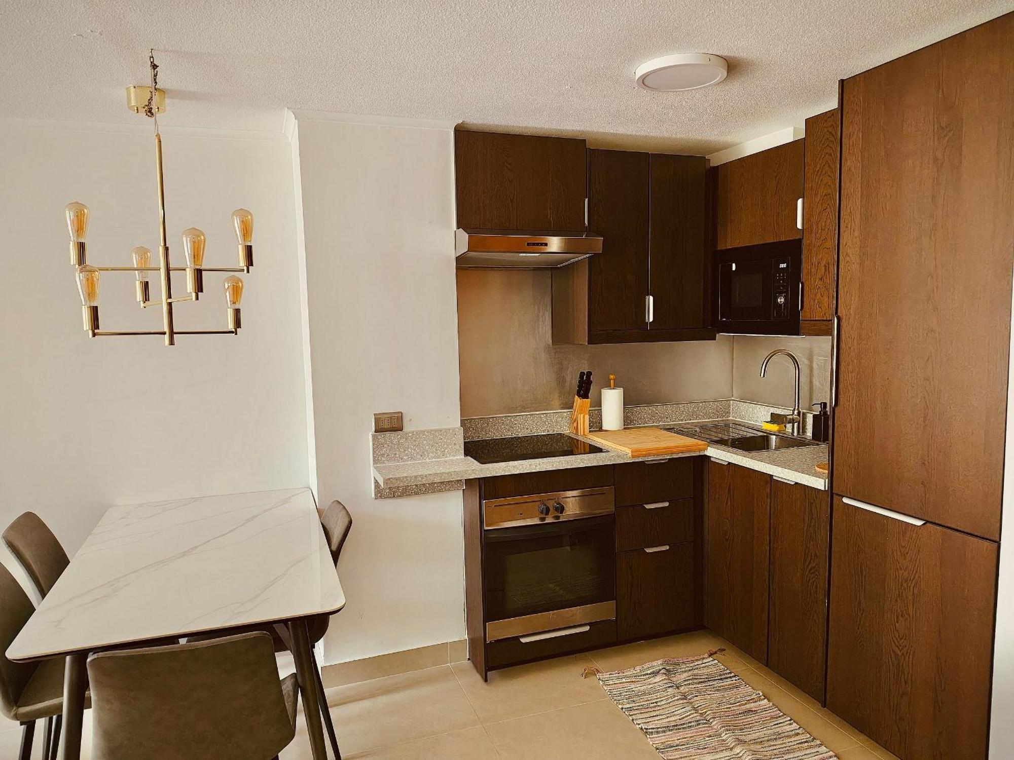 Luxury Providencia 305 *