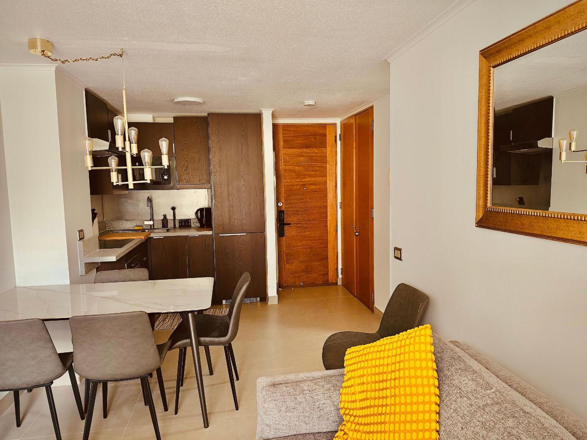 Luxury Providencia 305 *
